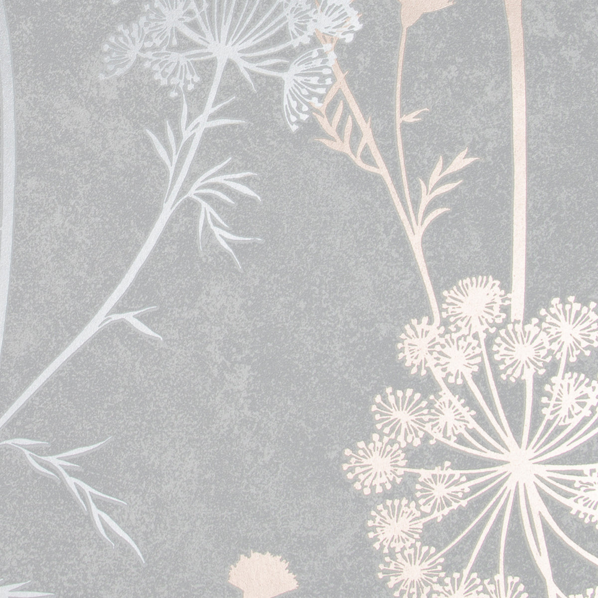 Cow Parsley Grey/Rose Gold Wallpaper