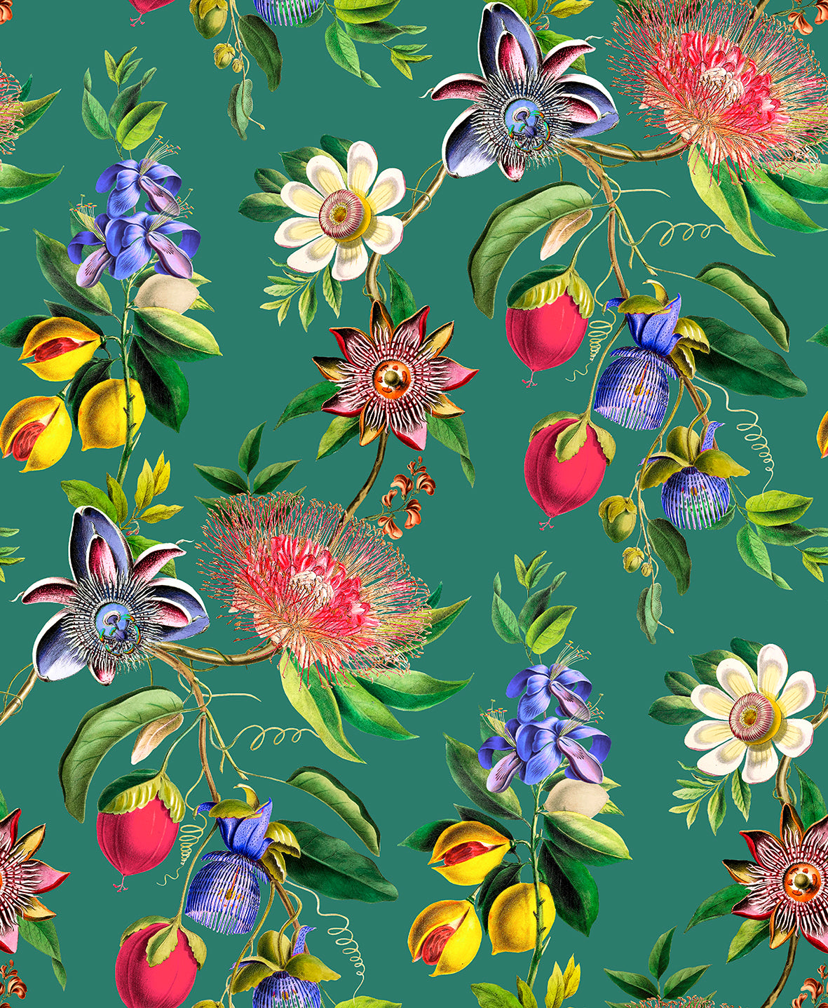 Physic Garden Teal Wallpaper