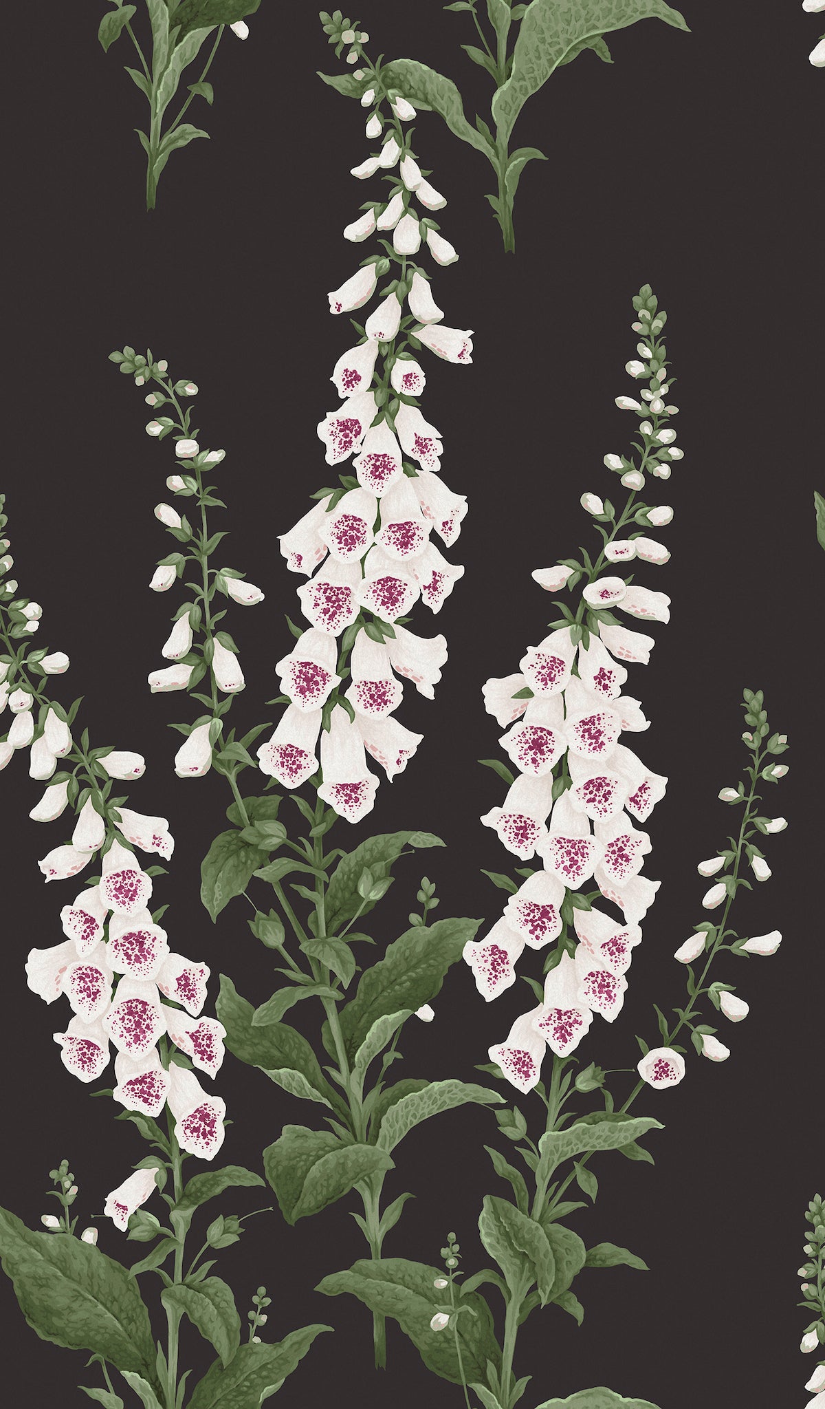 Foxglove Night Wallpaper