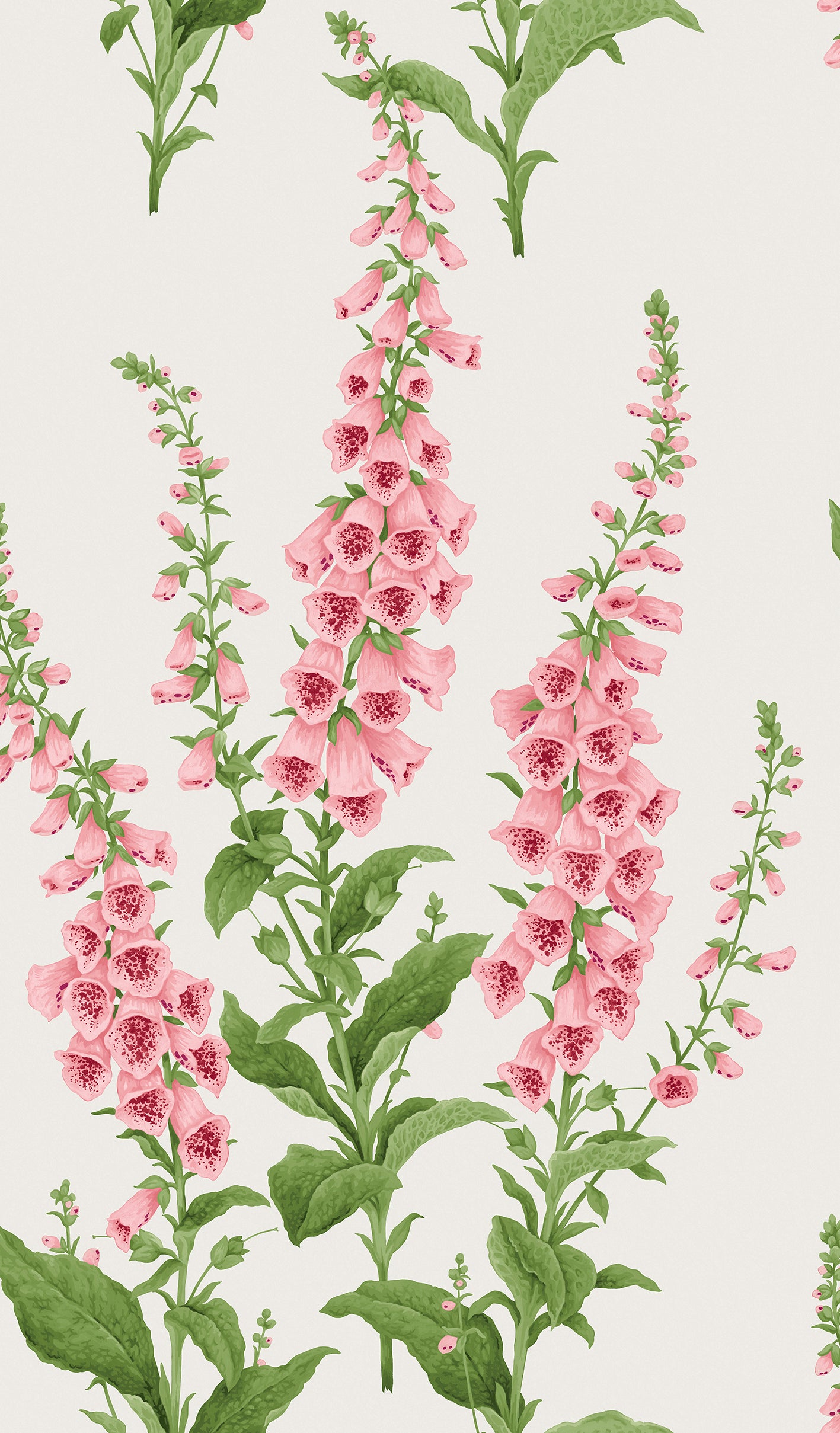Foxglove Day Wallpaper