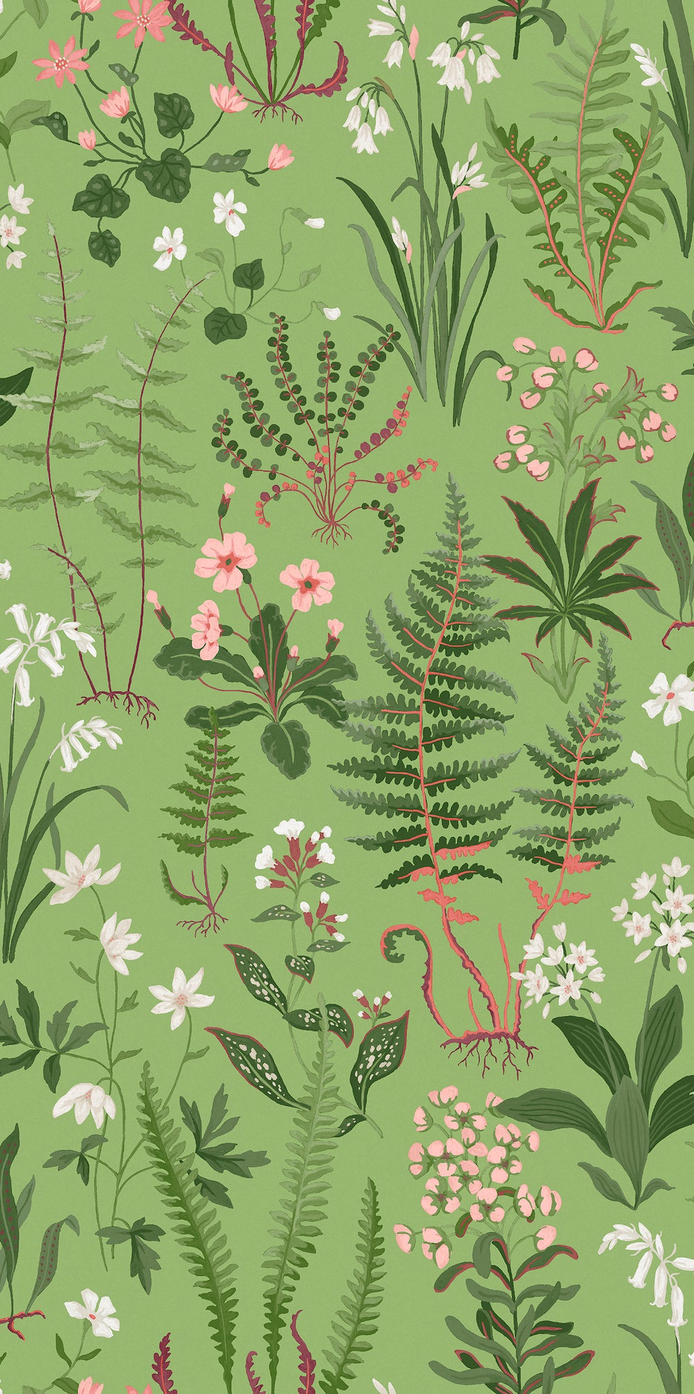 Oshibana Green Wallpaper