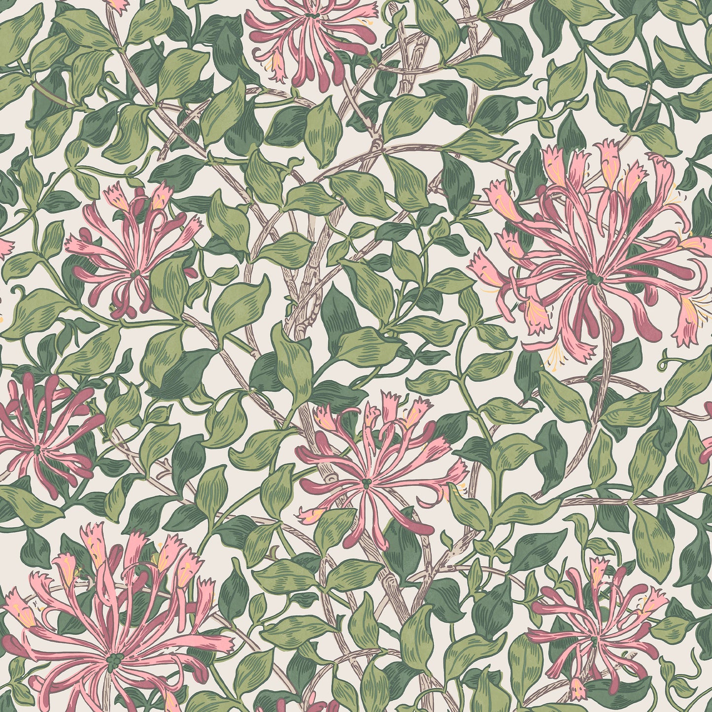 Honeysuckle Blossom Wallpaper