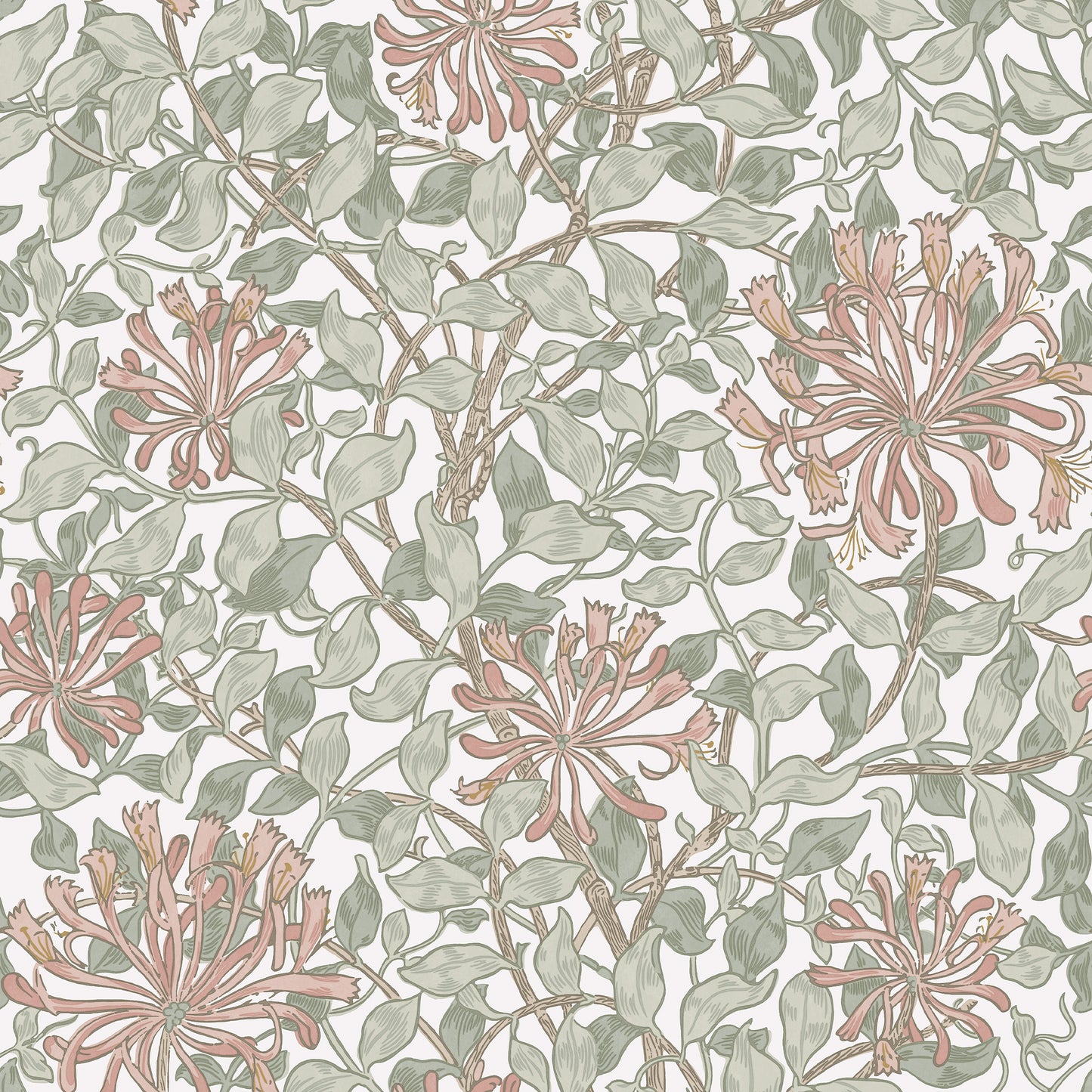 Honeysuckle Maytime Wallpaper