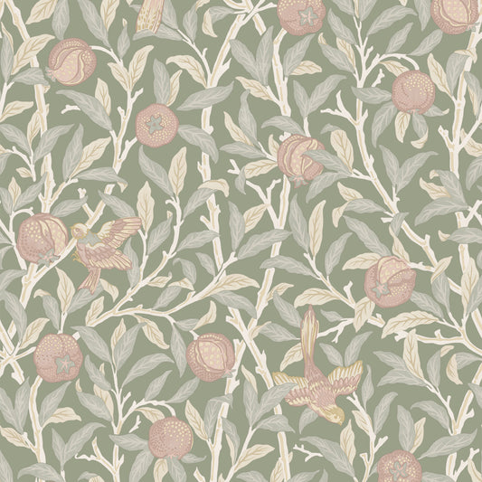 Bird & Pomegranate Rose Garden Wallpaper