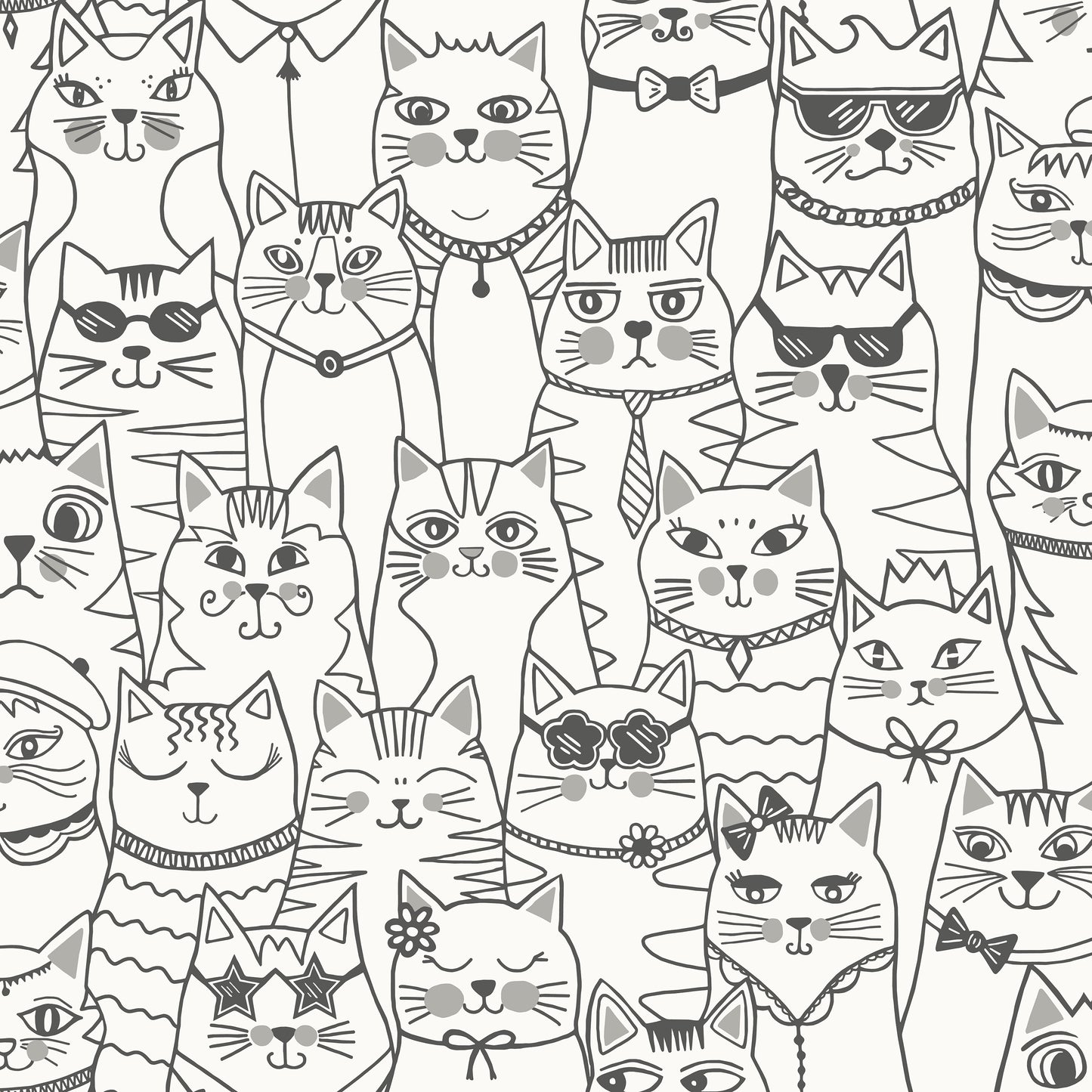 Colour-me Cats Black / White