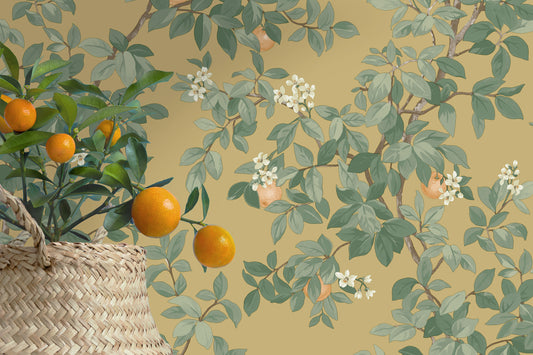 Orange Tree Ochre