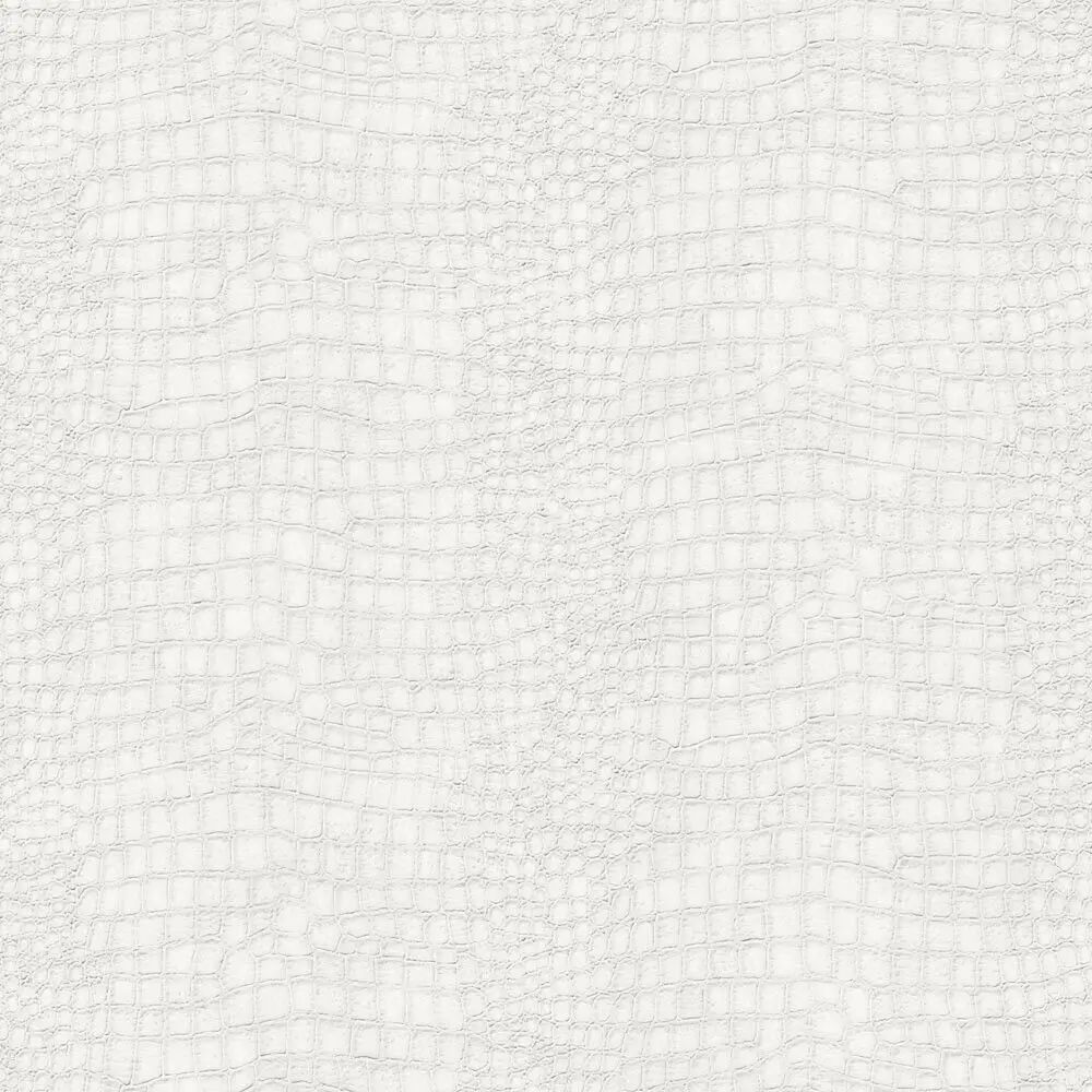 Crocodile - White Wallpaper