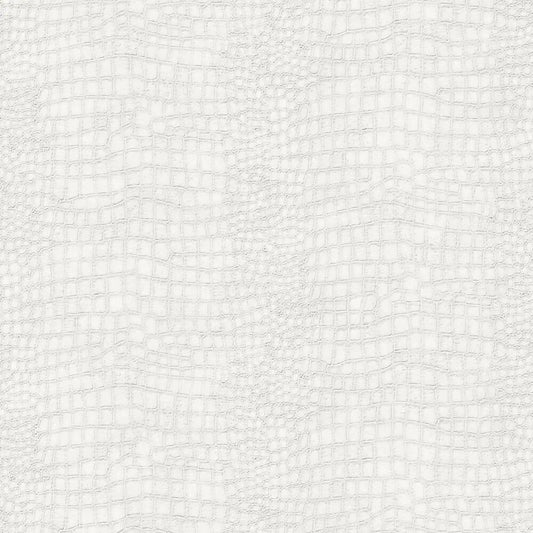 Crocodile - White Wallpaper