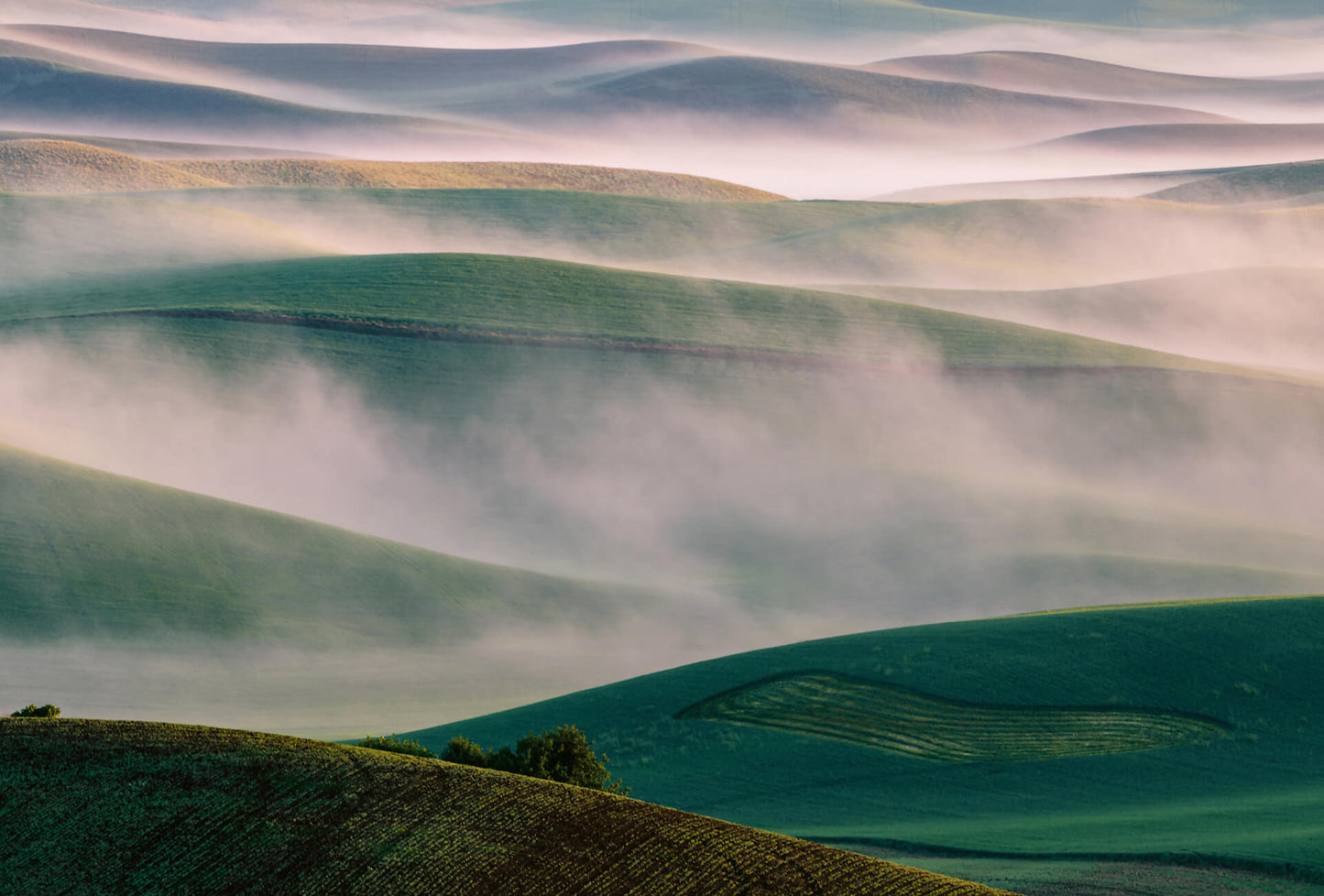 Foggy Hills Mural Wallpaper Inn