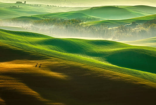 Hills Mural Wallpaper Inn