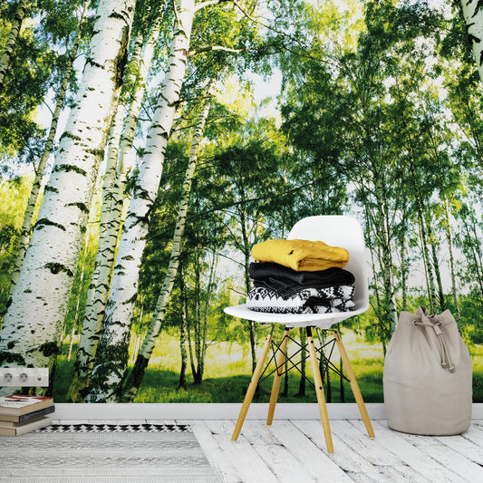 Sunshine Forest Trees Mural Wallpaper Inn