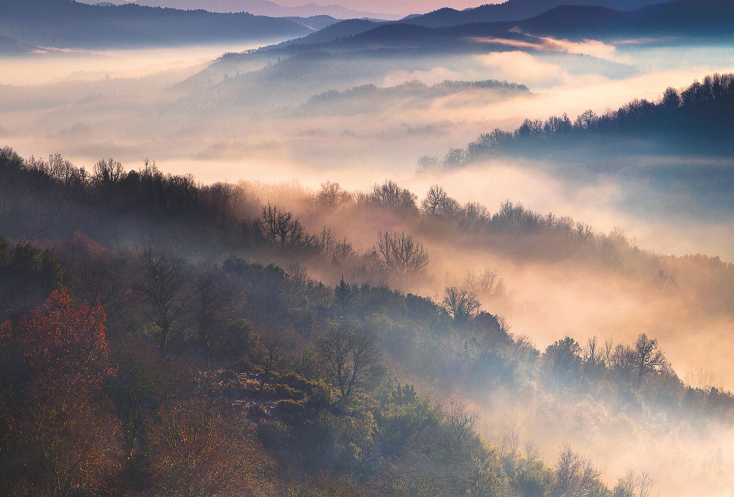 Magic Moment Mural Wallpaper Inn