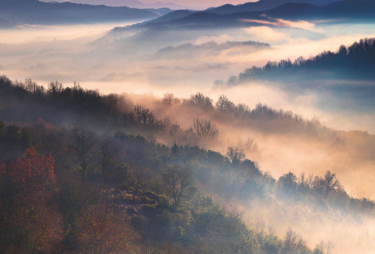 Magic Moment Mural Wallpaper Inn