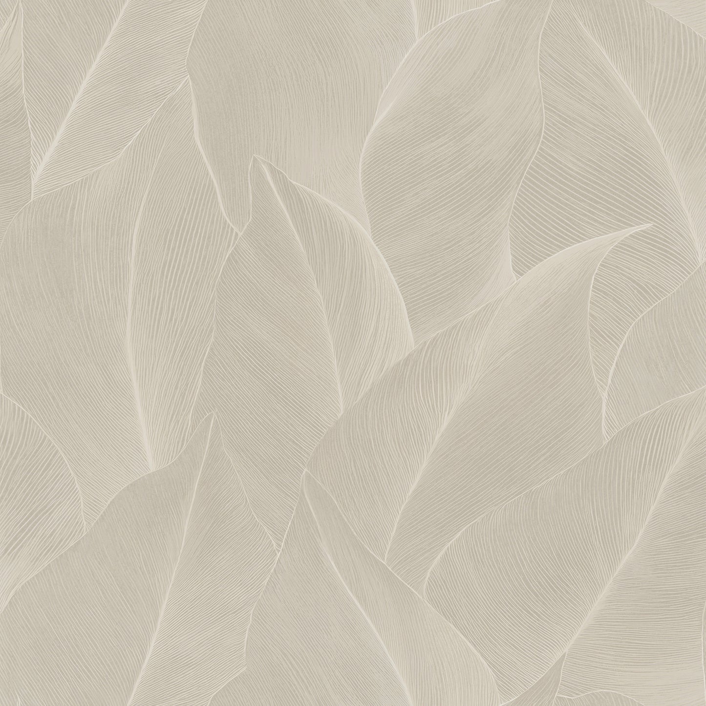 Anthurium Cream - Wallpaper Inn