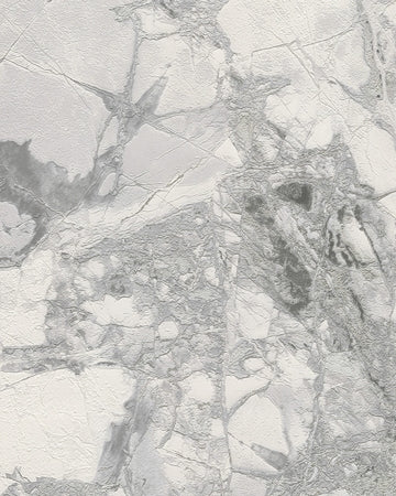 Polvaccio - Silver Dust - Wallpaper Inn