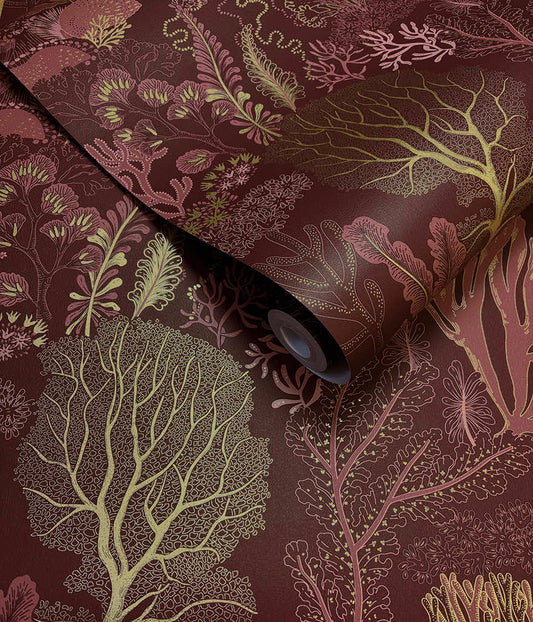 Nautilus Berry - Wallpaper Inn