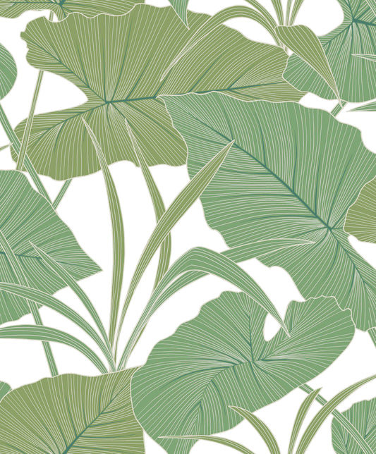 Antilles Jade