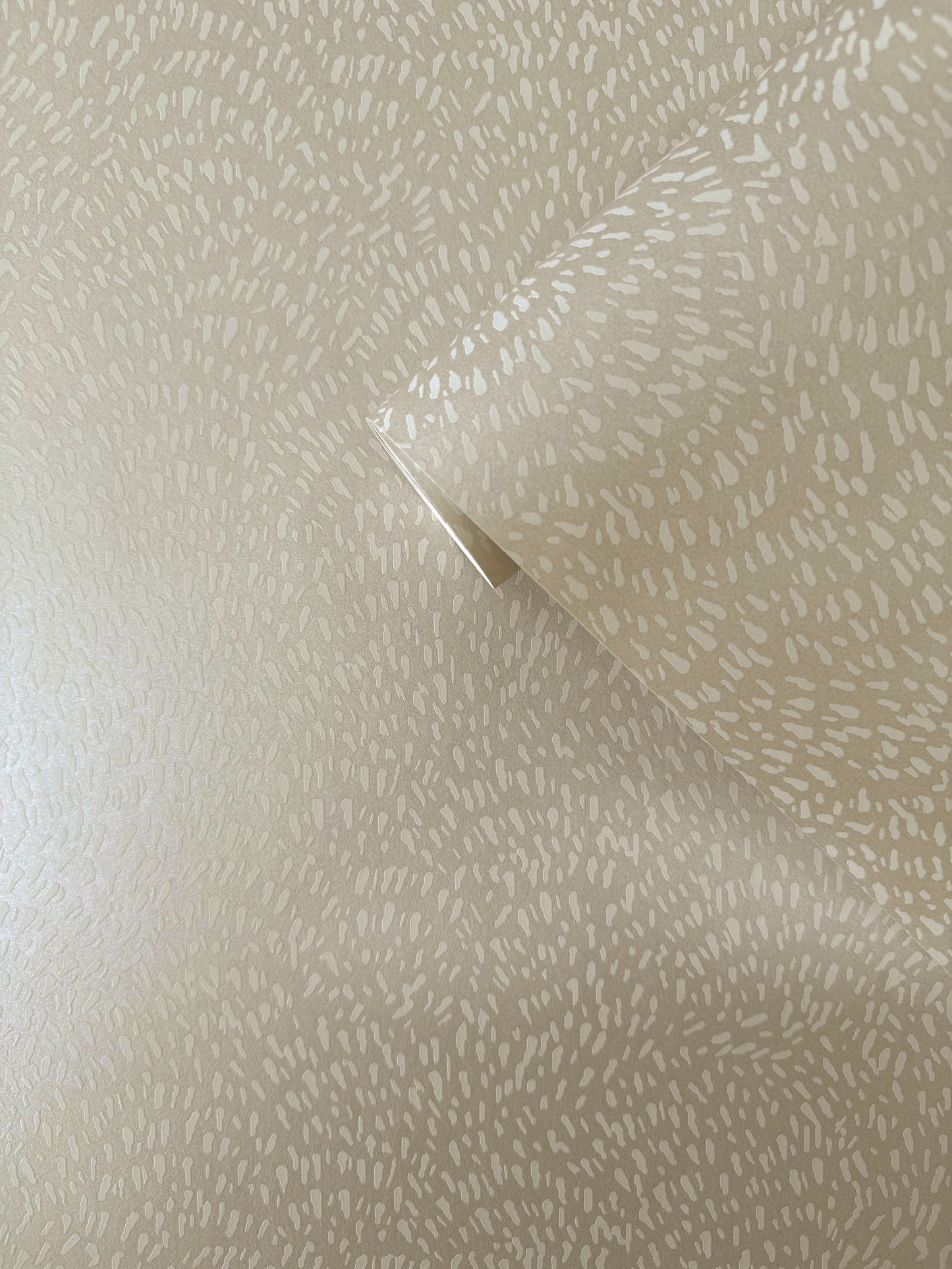 Fan Fleck Cream on Cream