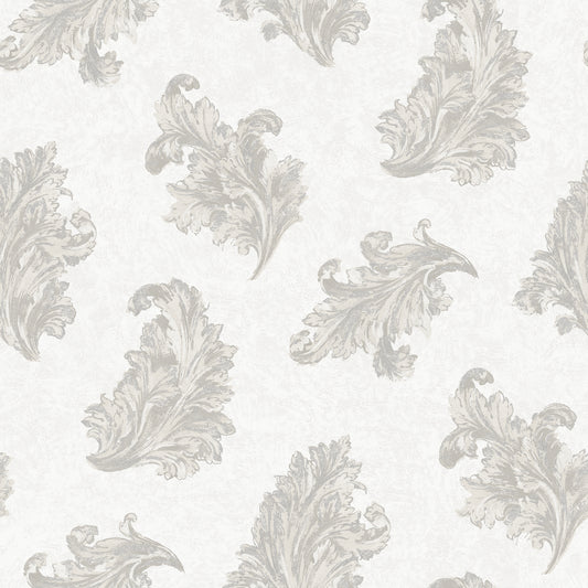 Acanthus Silver Grey