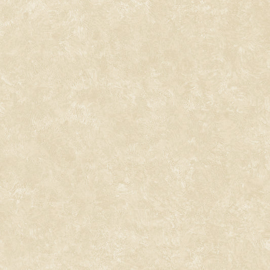 Stucco Texture Beige / Cream