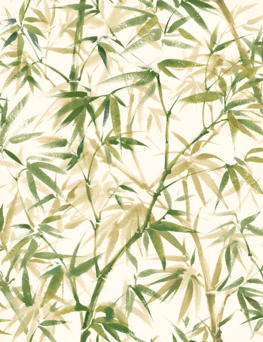 Shadow Bamboo Willow