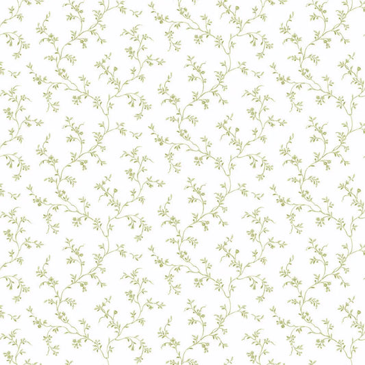 Allisons Trail Wallpaper Wallpaper Inn