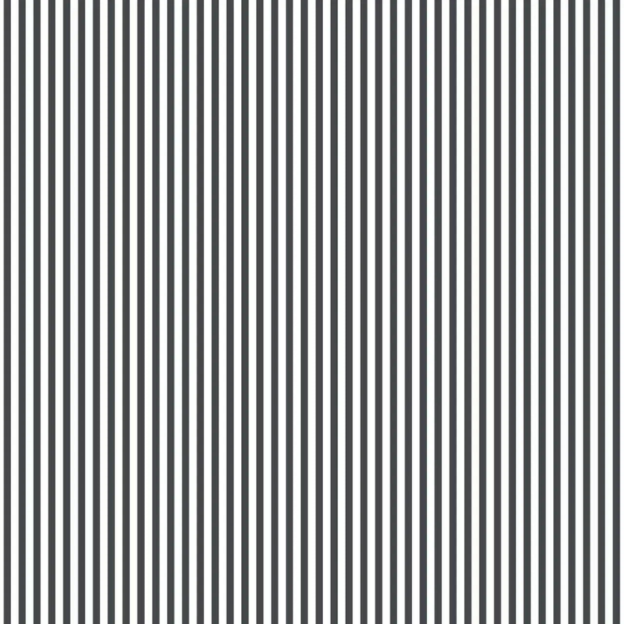 Black and White Pin Stripe Wallpaper Wallpaper Inn