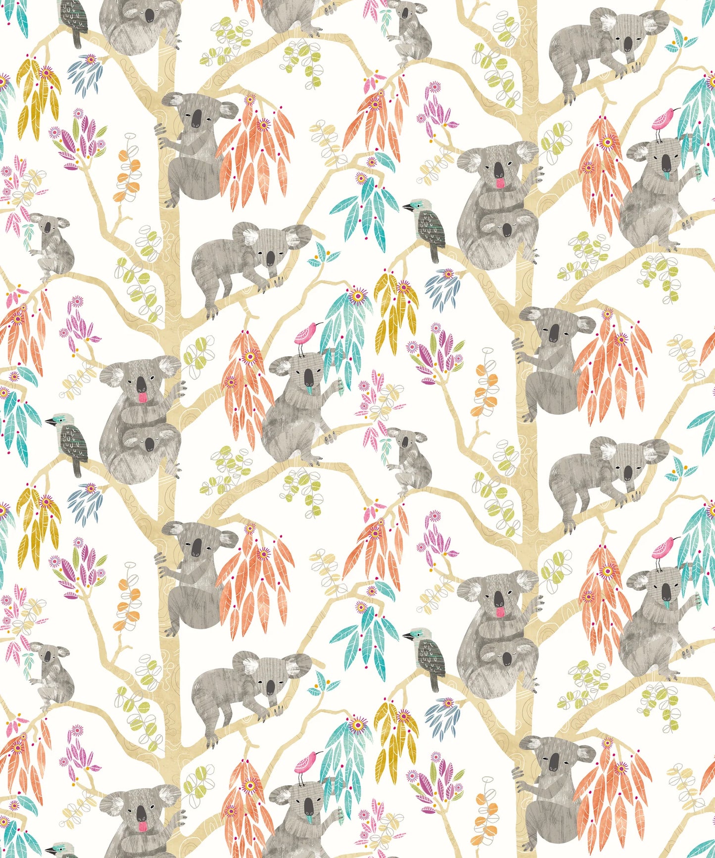Kooka Koala Pumpkin Wallpaper
