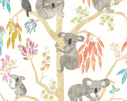 Kooka Koala Pumpkin Wallpaper