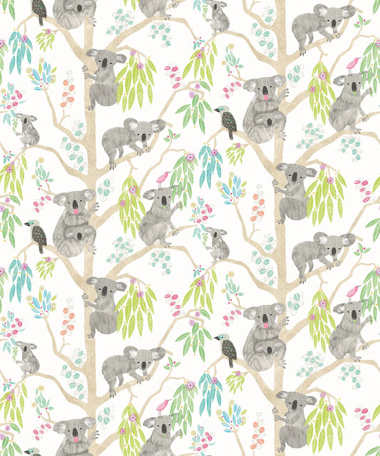 Kooka Koala Candy Apple Wallpaper