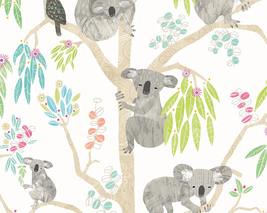 Kooka Koala Candy Apple Wallpaper