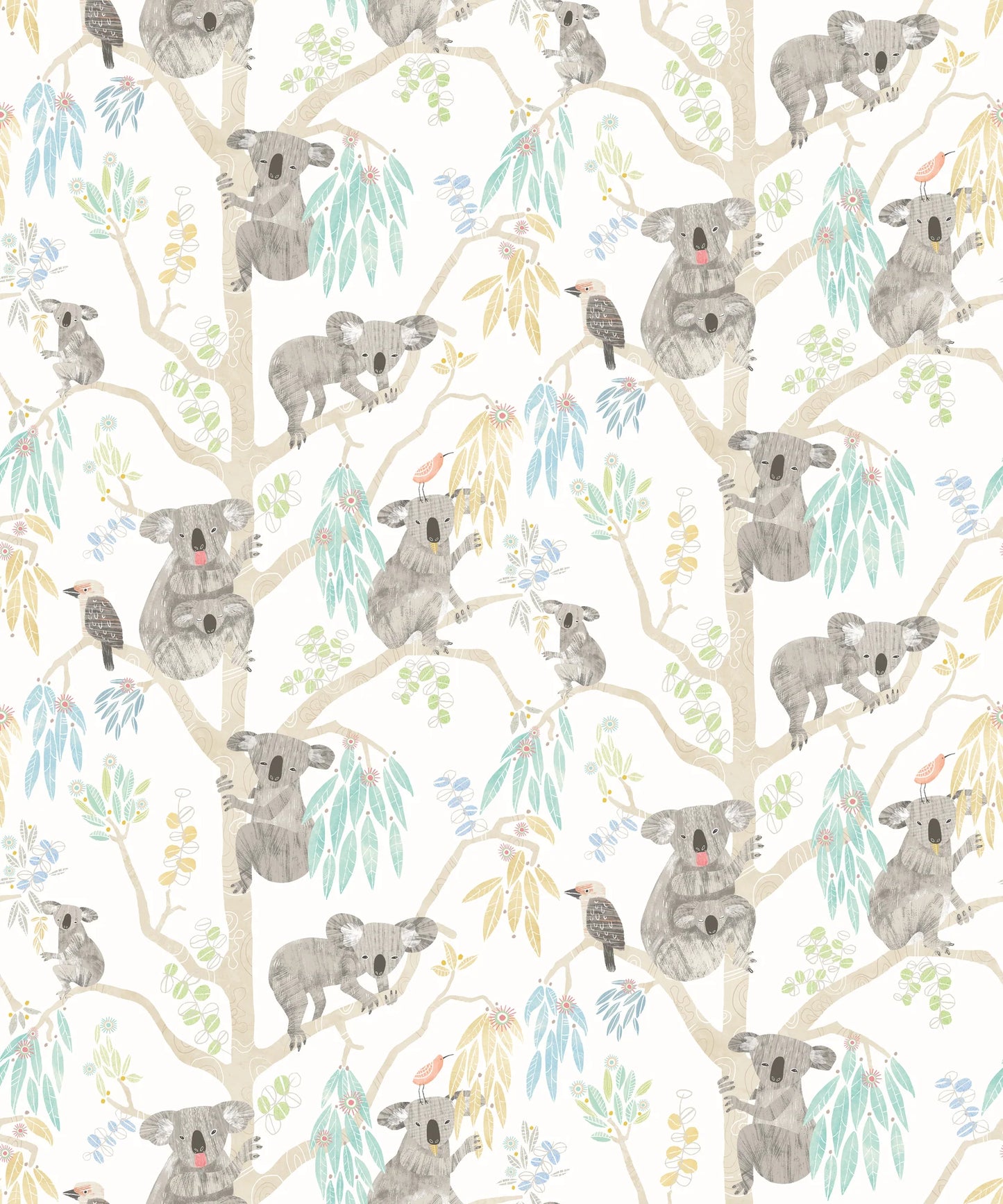 Kooka Koala Sky Wallpaper