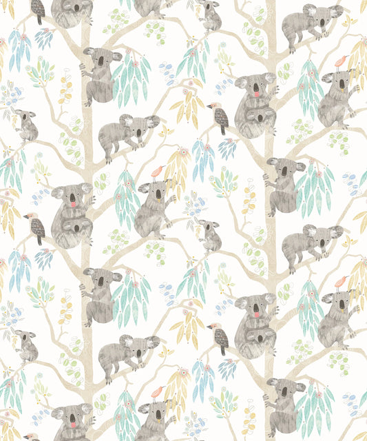 Kooka Koala Sky Wallpaper