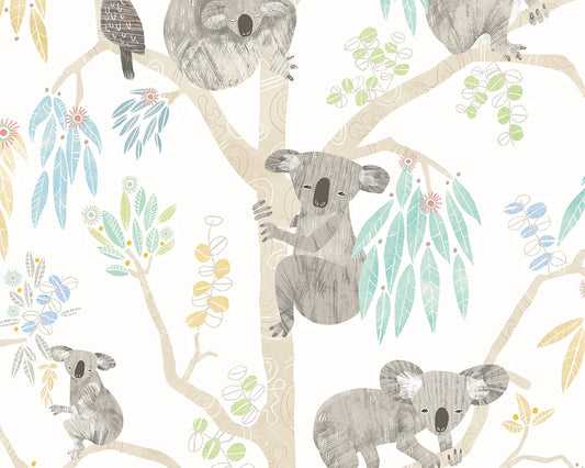Kooka Koala Sky Wallpaper