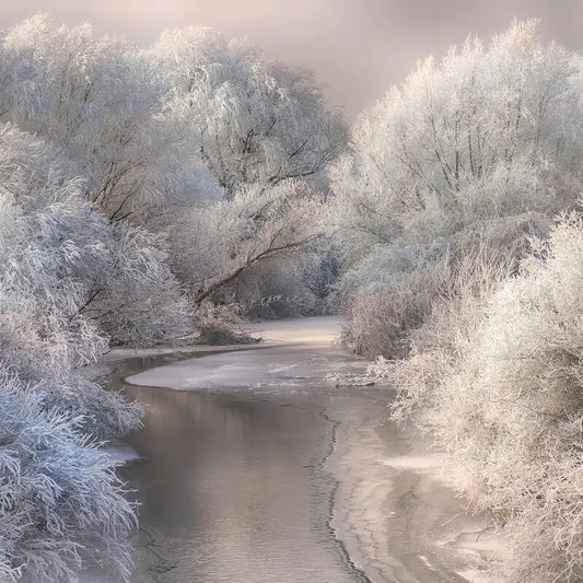 Frozen Forest Wall Mural Wallpaper Inn