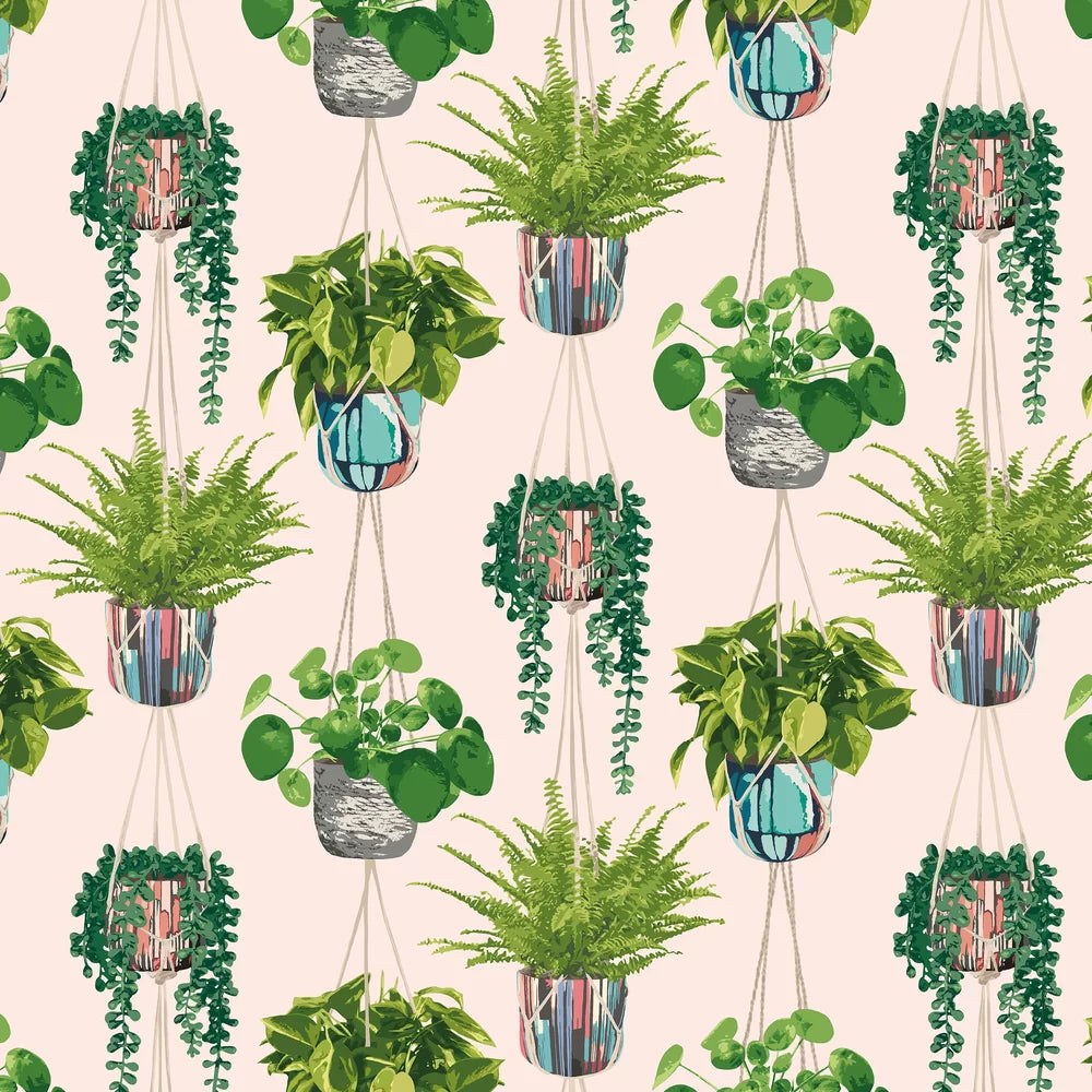 Houseplant - Ballet Slipper Wallpaper
