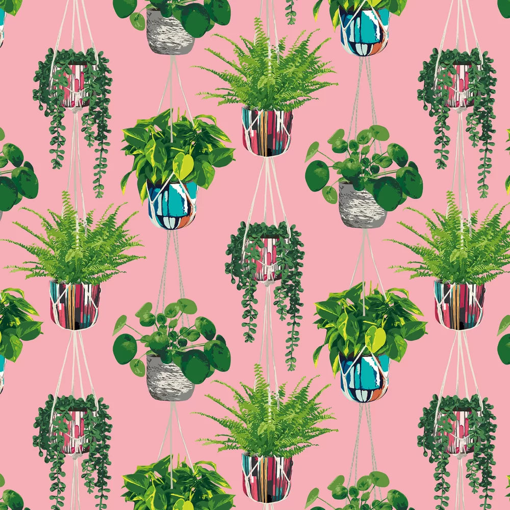 Houseplant - Bubble-gum Wallpaper
