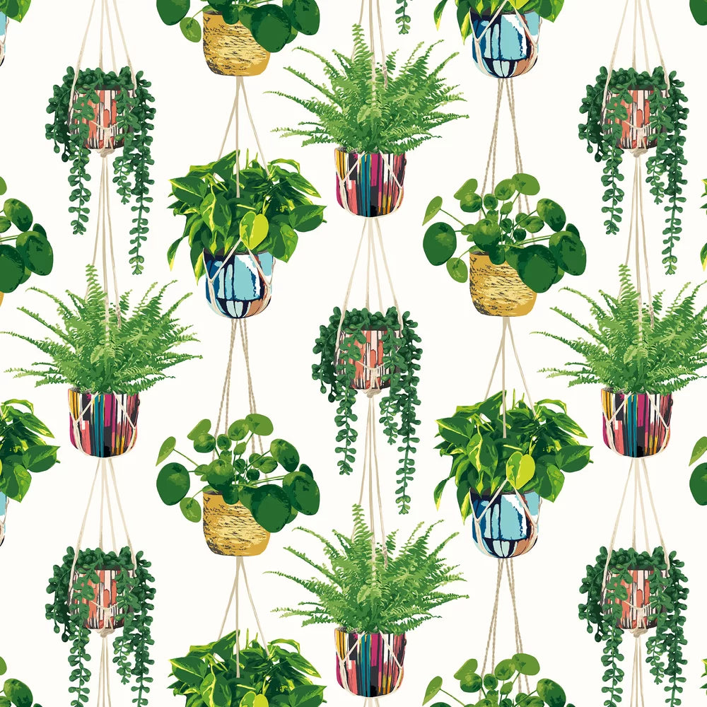 Houseplant - Parakeet Wallpaper