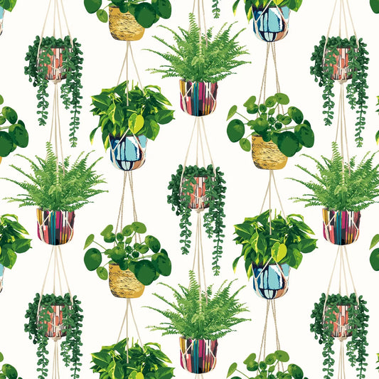 Houseplant - Parakeet Wallpaper