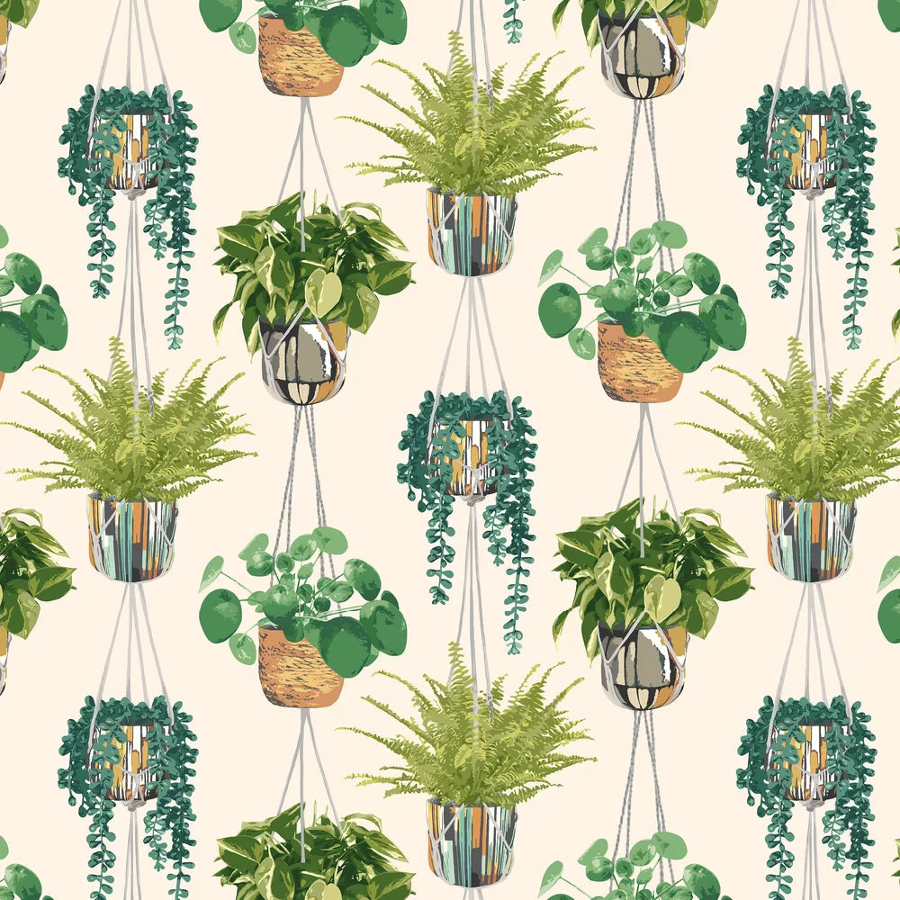 Houseplant - Sage & Cider Wallpaper