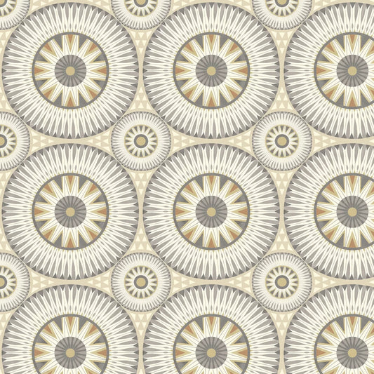 Large Ellipse - Fossil Wallpaper