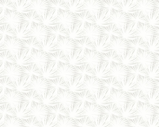 Palm Silhouette Cloud - Wallpaper Inn