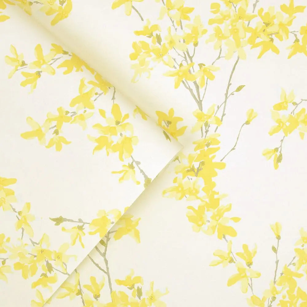 Forsythia Wallpaper Wallpaper Inn