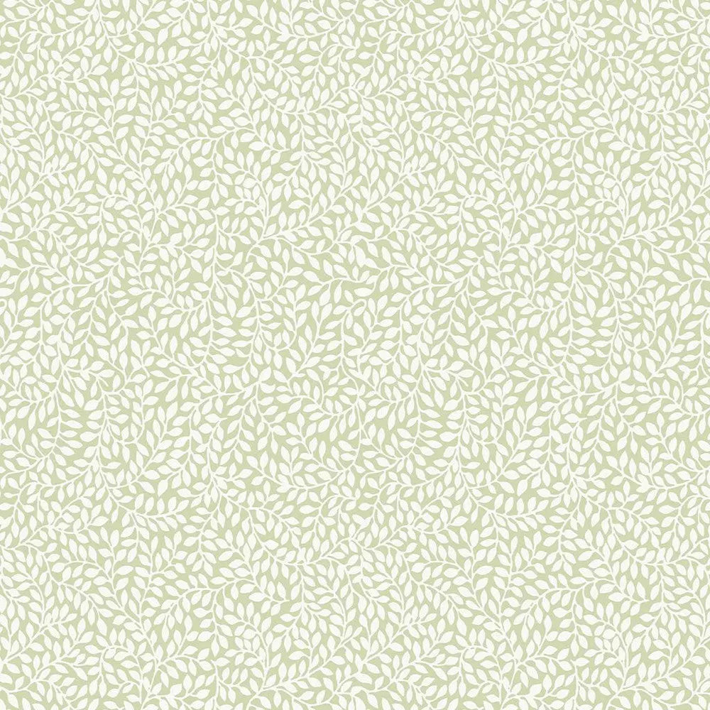 Little Vines Wallpaper Wallpaper Inn