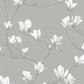 Magnolia Grove Wallpaper Wallpaper Inn