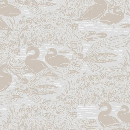 Swans Wallpaper Wallpaper Inn