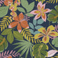 So Exotic Wallpaper Wallpaper Inn