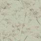 Serene Seedhead Wallpaper Wallpaper Inn