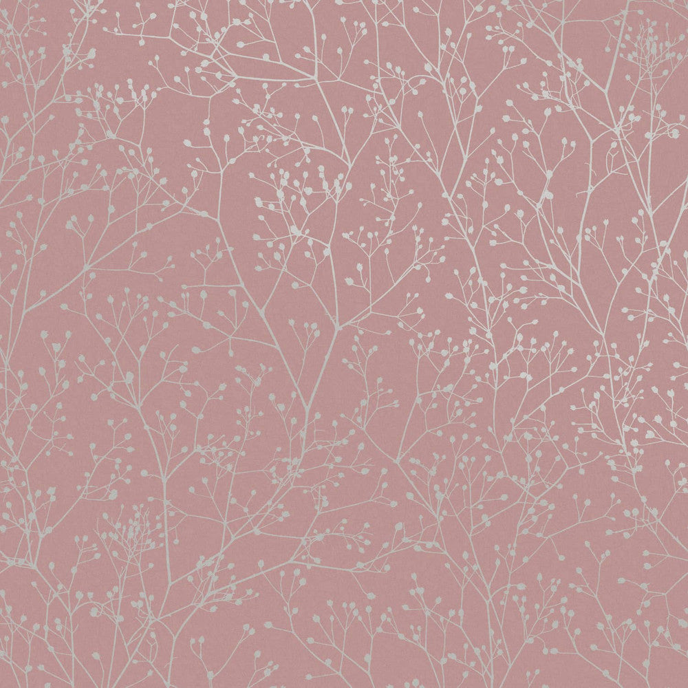 Gypsophila Wallpaper Wallpaper Inn