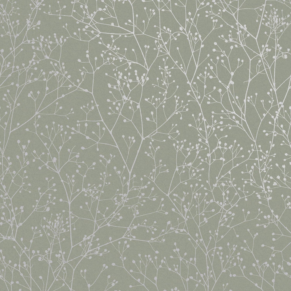 Gypsophila Wallpaper Wallpaper Inn